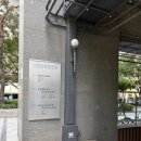 도라 - 남양주시 | 여의도/샛강역 점심 추천 스프카레 맛집 [도라보울] 후기(내돈내산)