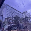 하키인의 집 | 째깍섬 판교] 판교 파미어스몰 후기 / 도시농부체험/ 6세 남아/내돈내산/ 주말에뭐할까