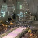 제이앤제이 | W.03 [평택 웨딩홀 투어후기] 평택 제이앤제이아트컨벤션 26년도 하반기 견적공유(계약X)