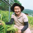 황금알 이미지