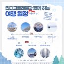 세븐일레븐 하남초이제일점 | 11년지기 친구들과 삿포로에서 새해맞이 (2) 비에이투어