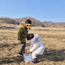 연천-1 | 내돈내산 연천 두루미체험 후기 - 1월에 두루미를 보면 행운이 온대요