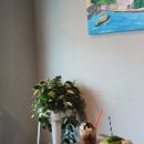라트로브151