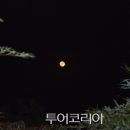 달빛여행 이미지