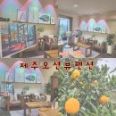 제주 그믐 이미지