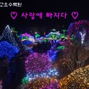 20130112_가평 아침고요 수목원의 겨울 불꽃축제 "사랑에 빠지다" 이미지