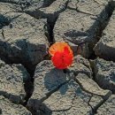 260105. 묵상글 ( 주님 공현 대축일 후 월요일. - 공현 시기의 죄와 회개, 회개의 여정. 등 ) 이미지
