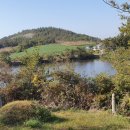 황산면사무소 이미지