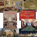 꿈꾸는 자작나무 이미지