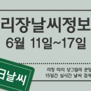 [운남/리장/날씨] 6월 11일 ~ 6월 17일 7일간 날씨 정보 이미지