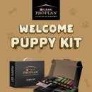 퍼피플랜 이미지