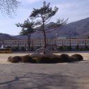 상사초등학교 이미지