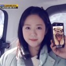 타칭 불독 자칭 포메라니안 지예은 이미지