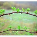 풍경(風景) 이미지