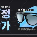 개이득몰