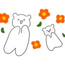 카페홀스 이미지