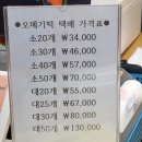 아남떡집 | 제주동문시장오메기떡맛집 제주동문시장떡집 : 아남떡집 오메기떡 솔직후기