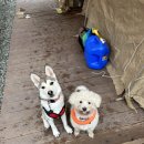 그자리 야영장 이미지