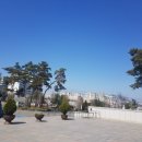 하늘샘체육관 이미지