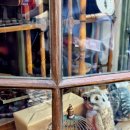 왈왈상점 이미지