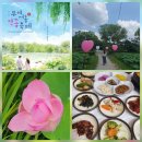 별밤 감성 공예 | 부여연꽃축제 궁남지 주차 일정 가수 스마트팔찌 대전근교 부여 여행 가볼만한곳