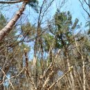 순일농장 이미지