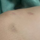 더뽑앙 | 쿠팡 알바 첫날 후기｜어플 신청 방법부터 실제 근무까지