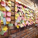 델쿠치나 이미지