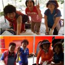 동호정(東胡亭) 이미지