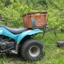 산내음농장 이미지