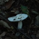 청주청원도서관 이미지