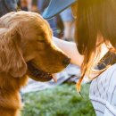 사랑-문을 열다 이미지