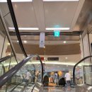 파크랜드 포천점 | 혼주 양복 추천💼 파크랜드 아울렛 vs 맞춤정장 비교｜마리오아울렛 구매 후기