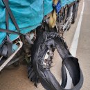 경산빵구 이미지