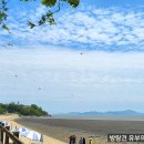 산당화가 피는집 이미지