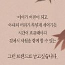 돌나라 코스메틱