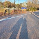 초리상회 | [답십리 맛집] 아워킬리바/답십리 양식/답십리 파스타/브런치