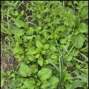 질경이농장 | 무릎 구부릴 때 통증 생기는 이유와 해결법