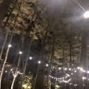 소노캄 제주 이스트타워 이미지