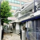 k미용카페 | 신사동 애견미용 추천, 비숑 히콩이 미용 후기