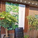 원곡만세면옥 이미지
