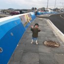 진아목장 이미지