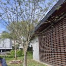 전주한지박물관 | [전주 아이와 가볼만한곳] 우리나라 종이의 신비! 전주천년한지관 한지만들기 체험 후기
