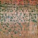 모텔돼지꿈 이미지