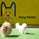 한화리조트/평창 이미지