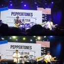 RR-360[금월로]-하-4 | 2025 페퍼톤스 PEPPERTONES CLUB TOUR - 서울 첫콘 후기