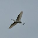 예당자동차공업사 이미지