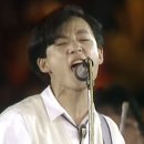 무한궤도