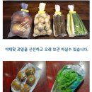 야채, 과일 보관할 때 핫템으로 떠오른 봉투🍇.jpg 이미지