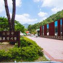 솔향공원 소나무전시관 이미지